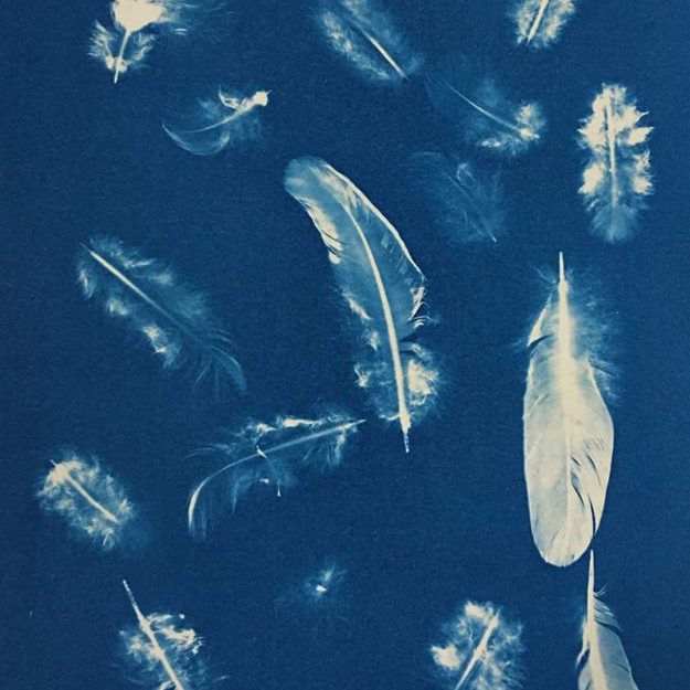 Feathers-full